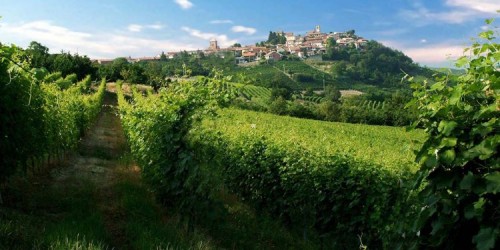 Colline Saluzzesi Wine Experience